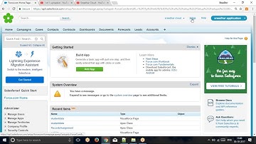 SALESFORCE  passing the values at url part programme by sreedharwhat