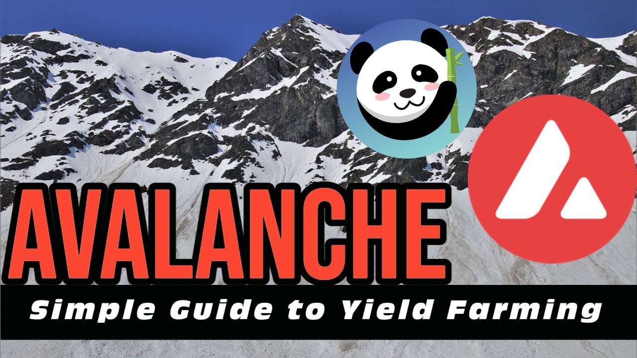 getting-started-w-yield-farming-on-avalanche-fat-yields-on-pandaswap