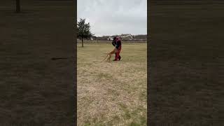 K9 Luna female malinois personal protection dog launching for the bite
