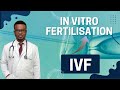 What You Need To Know Before Doing In Vitro Fertilisation (IVF)