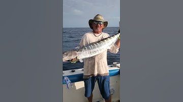 Florida Wahoo Fishing with Artificial Bonito Strips #florida #marathon #fishingvideo