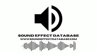 22 Colt Revolver Gun Sound Effect