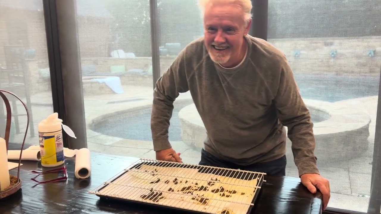 Лоток для щенячьих экскрементов — настоящее спасение.