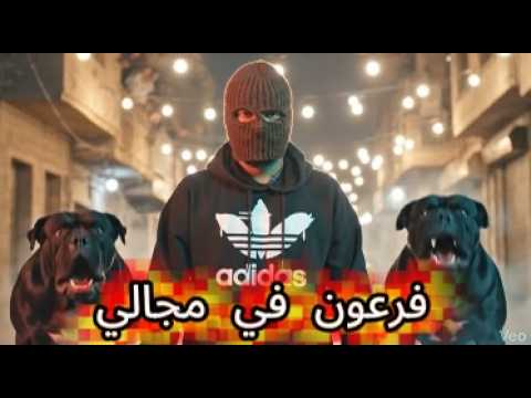 كليب فرعون في مجالي كوكب مفيهوش سلكان افاتار مصر توزيع روما الافاتار