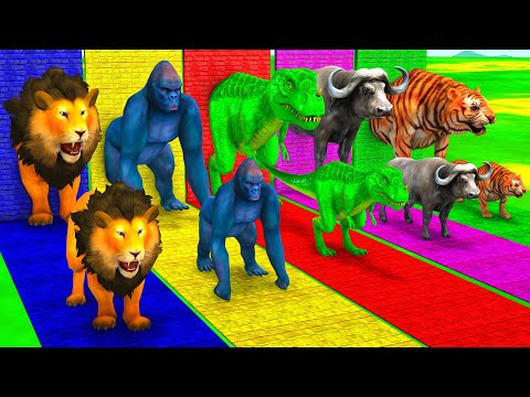 Choose Right Wall With Gorilla Zombie T-Rex Tiger Buffalo Elephant Lion | Wild animals Matching Game