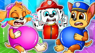 Paw Patrol The Mighty Movie | What the Belly to Get Gigger | Happy Life Story | Rainbow 3