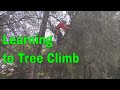 Student Learning to Tree Climb