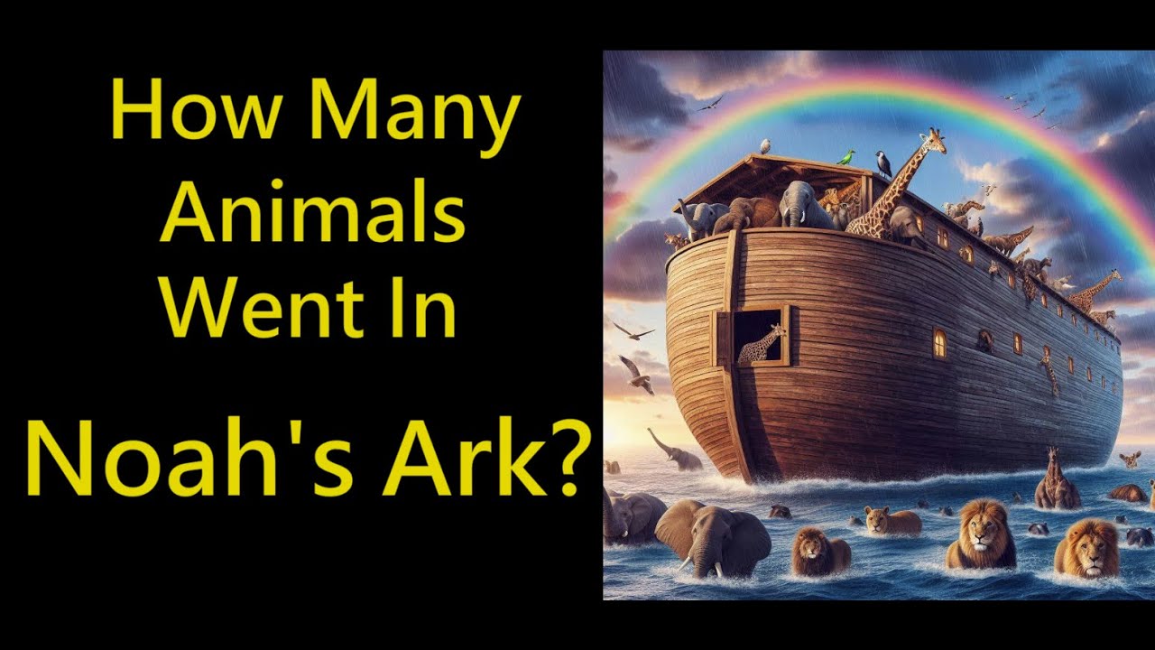 How many animals were brought onto Noah's Ark? #biblestudy #noahsark # ...