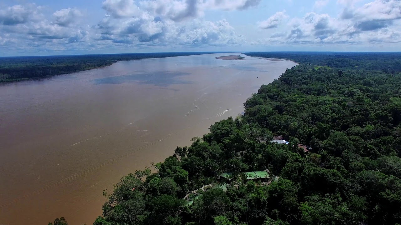Flying above the Amazon at Ceiba Tops Lodge & it's Giant Ceiba Tree