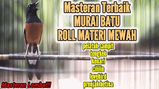 MASTERAN MURAI BATU LOMBA FULL ISIAN CILILIN KENARI LOVEBIRD PELATUK SAMPIT TENGKEK 100% MEWAH