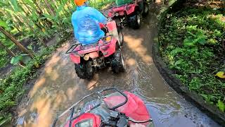 Quad tour