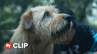 Arthur the King Movie Clip - Must Have Wings (2024)