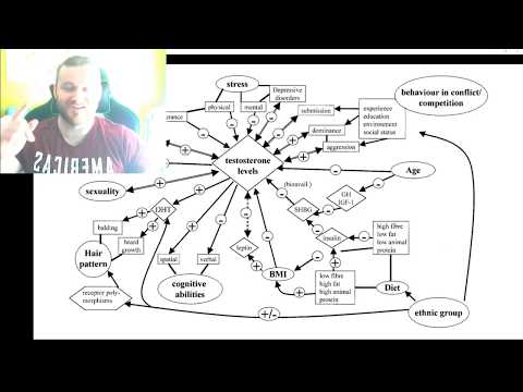 Metabolizowanie Testosteronu