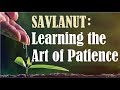 SAVLANUT: Learning the Art of Patience - Rabbi Michael Skobac - Jews for Judaism