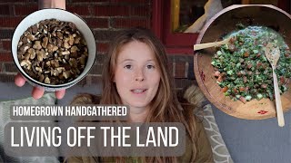 Living off what we grow, forage and hunt (Week 1) by Homegrown Handgathered 29,824 views 6 months ago 13 minutes, 17 seconds