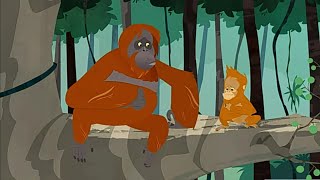 Огромная рыжая проблема. Про орангутанга. Братья Кратт: Зов Природы. Новая серия. Канал Детишки