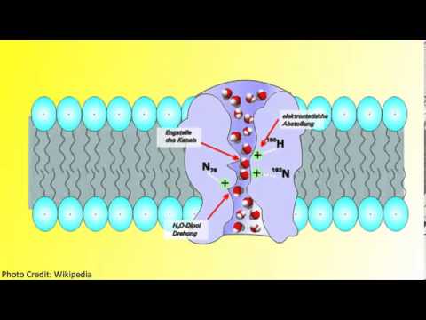 Aquaporins