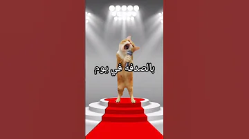 في اساطير الكونغ فو باندا 