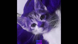 MY CAT MADE A PHONK 😳