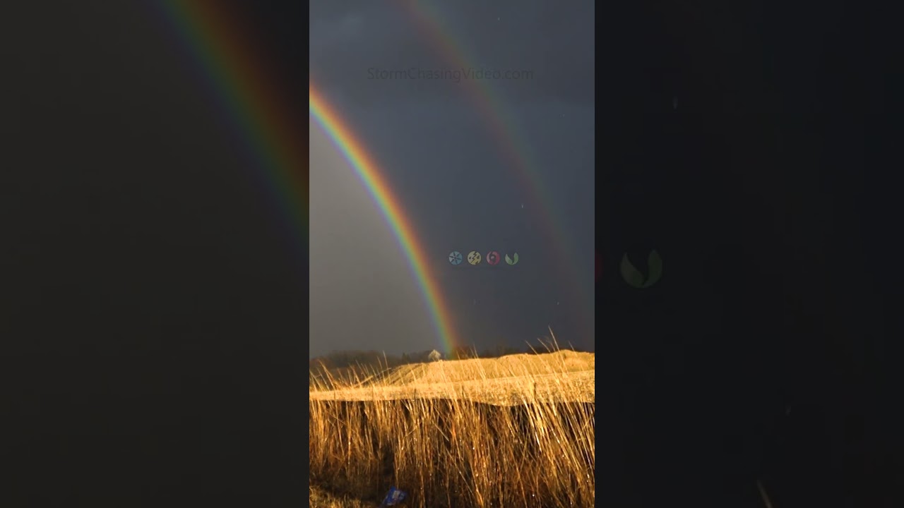 Double Rainbow Delight! Where dreams come true #shorts