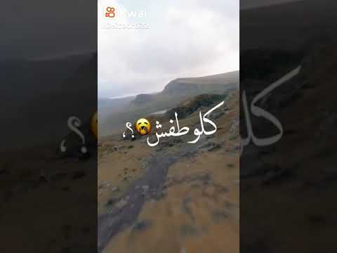 سيبو سيبو يا حامد