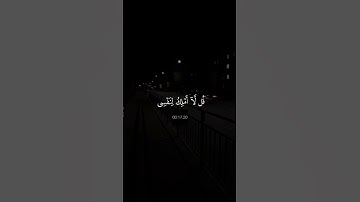 اكتب شيء تؤجر عليه //القارئ عبدالرحمن مسعد ❤️‍🩹😴