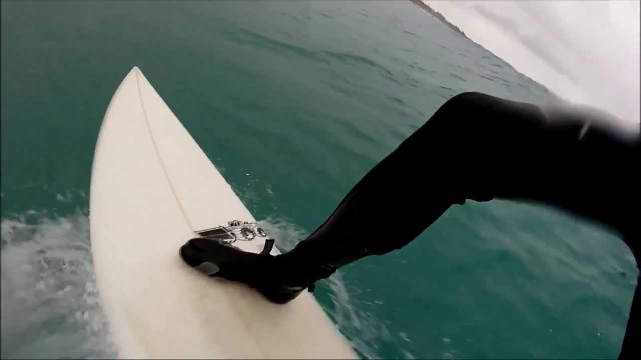 Surfing With Little Leopard Sharks At Asilomar State Beach