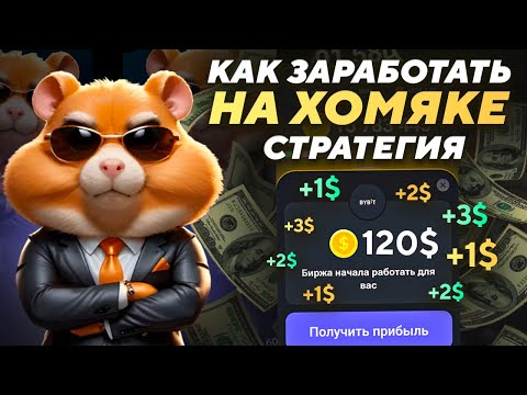 Тактика прокачки хомяка