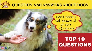 10 Most Asked Questions About Dogs || PetHolics by PetHolics 877 views 2 years ago 5 minutes, 6 seconds