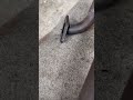 転倒のダメージ