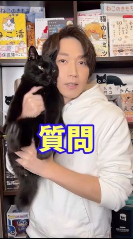 Q：猫吸いは猫はどう思ってますか？ #猫 #猫好き #猫好きさんと繋がりたい