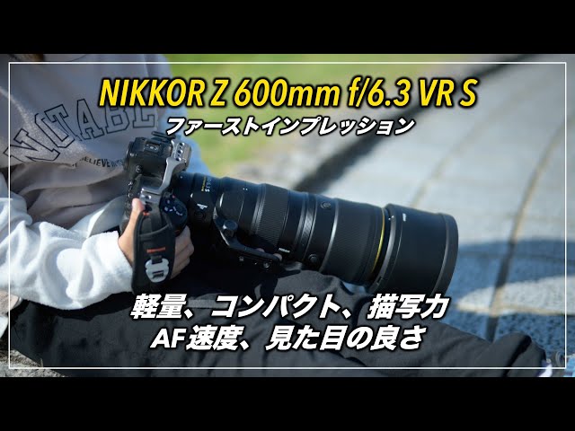 Nikon 600ミリ　リアリーライトスタッフ　レンズフィット Nikon 600ミリ リアリーライトスタッフ レンズフィット Amazon