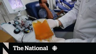 Canadian Blood Services considers partnerships for paid plasma collection