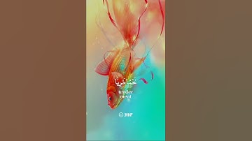 الآية 14 من سورة النحل