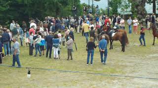 Cardielos, Viana do Castelo - Romaria de S. Tiago e S. Silvestre - 2021-07-25