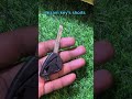 #keyless #automobile #keycutting #all key lost RTR apache #keys #machine #keylock #smartphone #diy