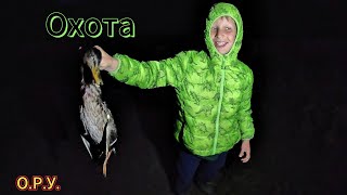 картинка: Постояли на вечерке, постреляли уток!