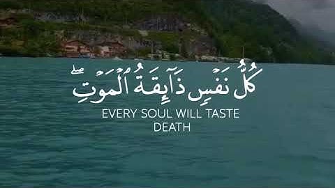 ارح سمعك💙// يَا عِبَادِيَ الَّذِينَ آَمَنُوا إِنَّ أَرْضِي وَاسِعَةٌ💚// القارئ حسام الدين عبادي 🍀