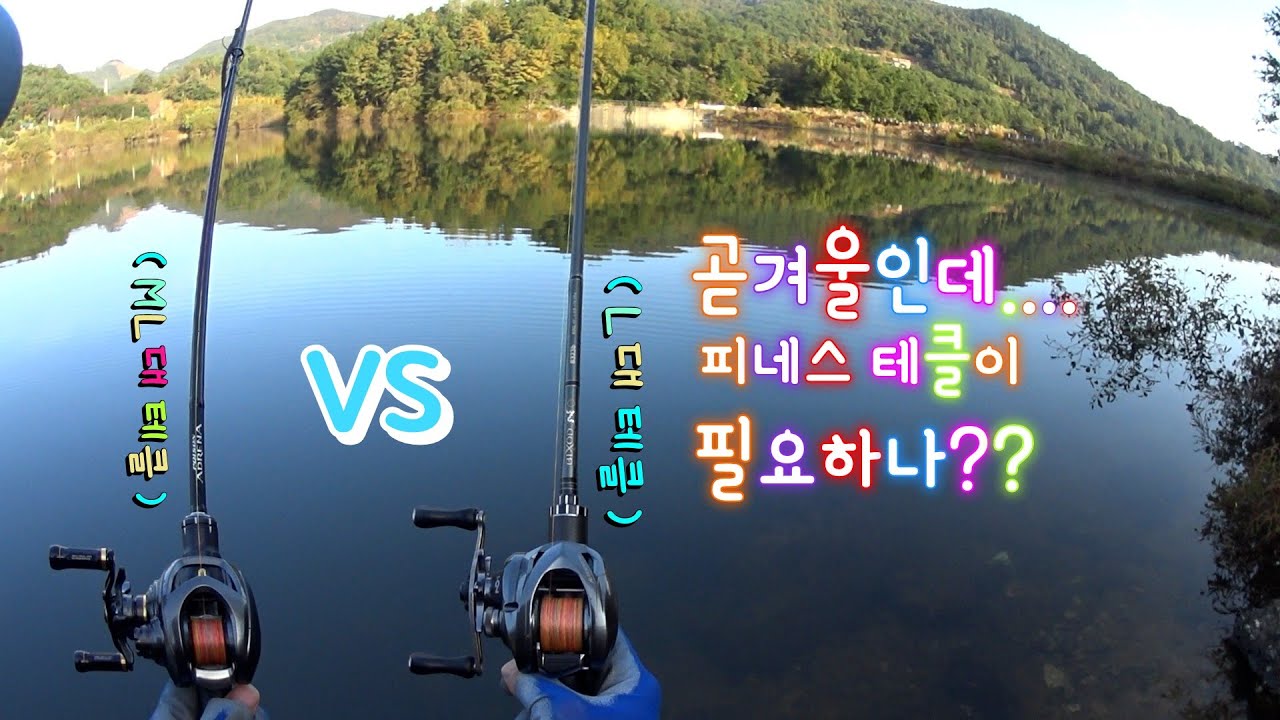 곧 겨울인데...피네스테클이 필요하나??