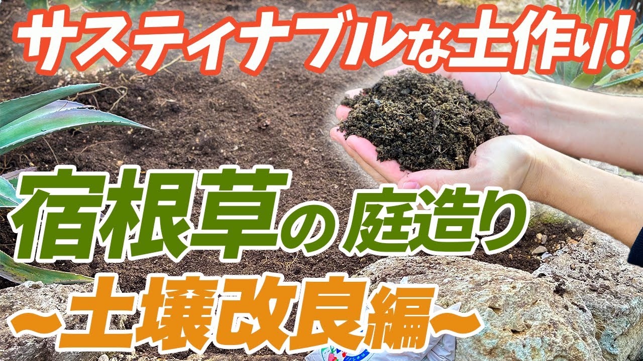 【土壌改良】宿根草の庭造りの仕方をプロが伝授します！【園芸チャンネル】