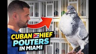 Inside Miami’s Thief Pouter Loft — Team Ancla Tour 2025