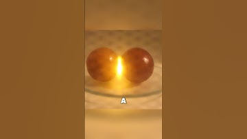 Why Do Grapes Create Plasma When Microwaved? #shorts #viral #trending #viralvideo