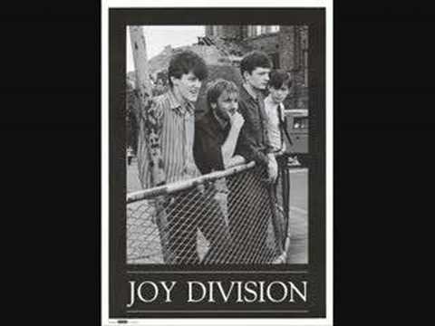 HALF MAN HALF BISCUIT-JOY DIVISION OVEN GLOVES