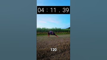 Day 346/365 of the pushup challenge 