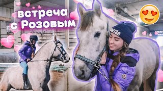 картинка: НАВЕЩАЮ РОЗОВОГО ! Долгожданная Встреча // VLOG конюшня