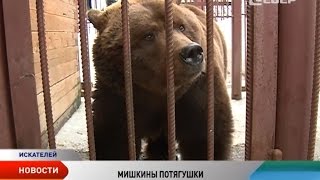 Долгожданное пробуждение. Нарьян-марский Мишка проснулся и готов к приему гостей Долгожданное пробуждение. Нарьян-марский Мишка проснулся и готов к приему гостей