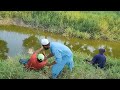 Catching 4 type fish in Pond|Murell &amp; Baam fish|Tilapia &amp; Chitala Catch|Small Single hook fishing