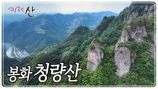 떠올리기만 해도 마음에 바람이 스치는 산 '청량산' [영상앨범 산] KBS 230820 방송