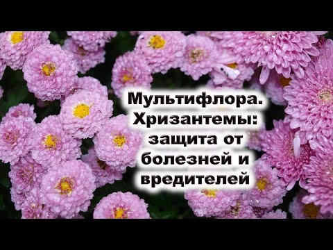 Видео: Зуны туршид хэрхэн өөрчлөгдөх вэ