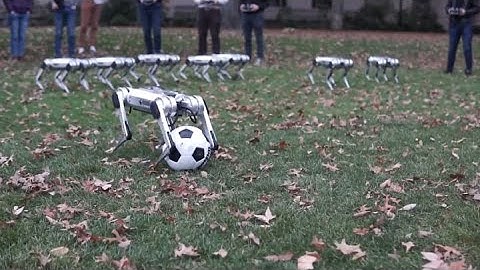 Watch MIT engineers test a squad of mini robotic cheetahs